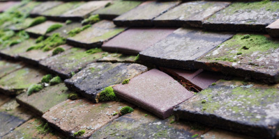Burraton Coombe roof repair costs